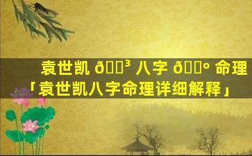 袁世凯 🐳 八字 🌺 命理「袁世凯八字命理详细解释」